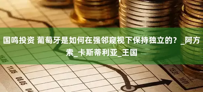 国鸣投资 葡萄牙是如何在强邻窥视下保持独立的？_阿方索_卡斯蒂利亚_王国