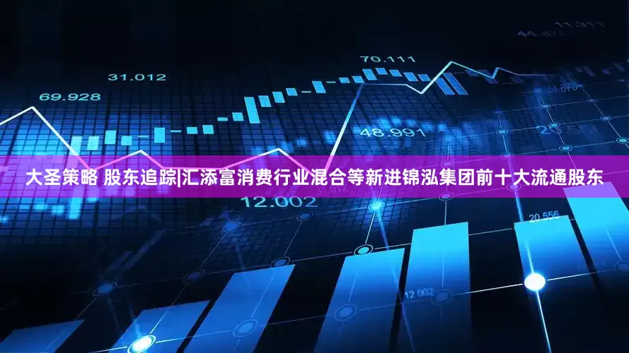 大圣策略 股东追踪|汇添富消费行业混合等新进锦泓集团前十大流通股东