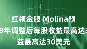 红领金服 Molina预计2029年调整后每股收益最高达30美元